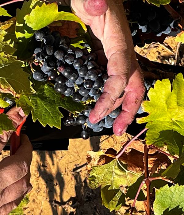 attention aux doigts !