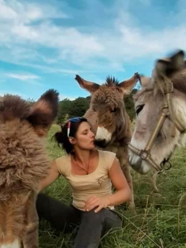 ânes de la ferme Juli'ânesse-gallery