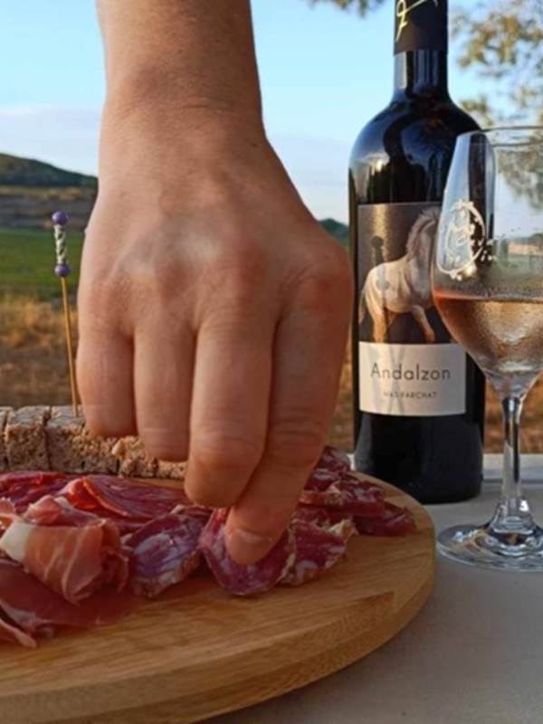Dégustation de vin et tapas au Mas Farchat-gallery-offer