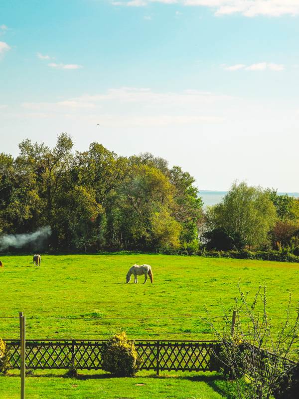 Côté Sud : Vue de la chambre sur la campagne, les chevaux et la baie de La Forêt-Fouesnant et au loin les îles Glénan selon météo-img-gallery-solo