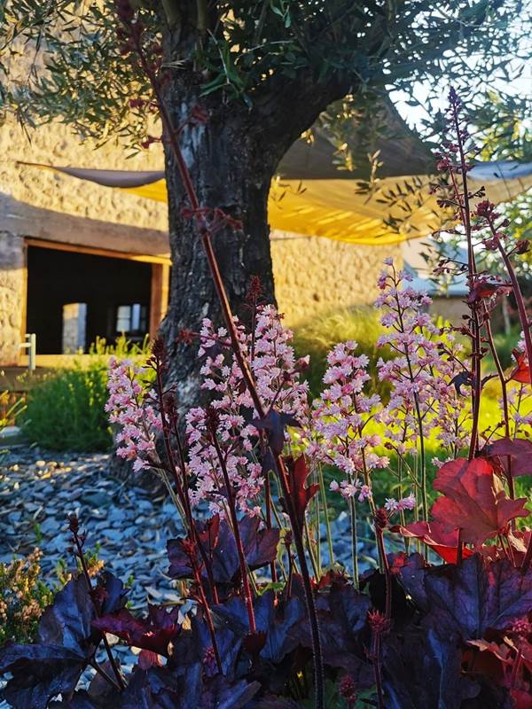 Terrasse aménagée dans le jardin-gallery-offer