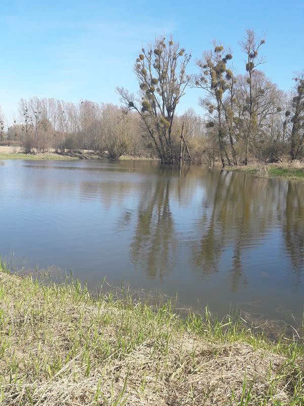 Notre étang privé à 800 m du gîte-gallery-offer