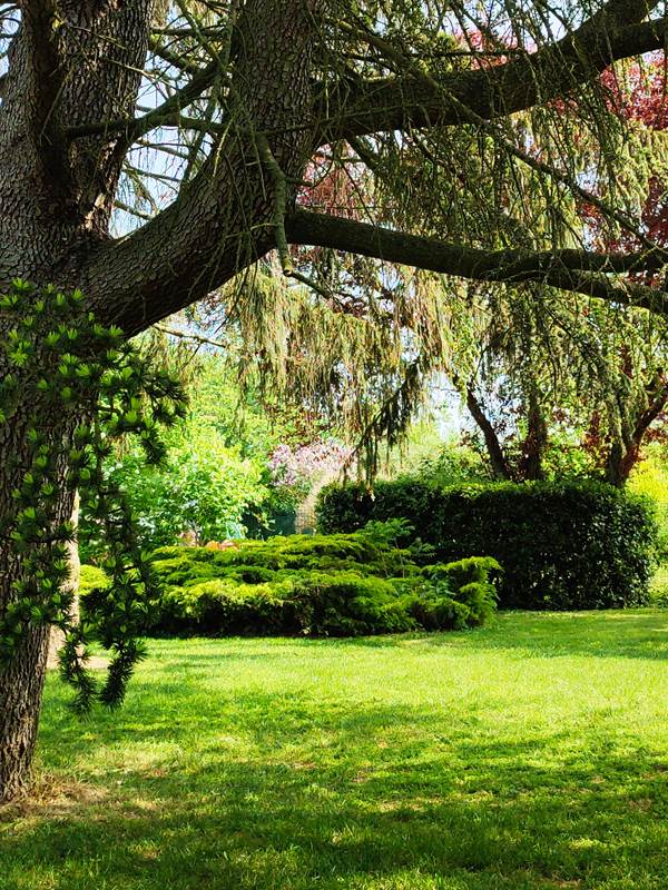 Notre jardin arboré-gallery-offer