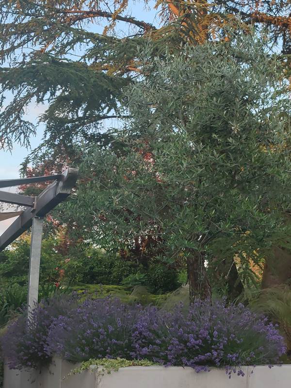 Transats à disposition pour profiter du jardin-gallery-offer