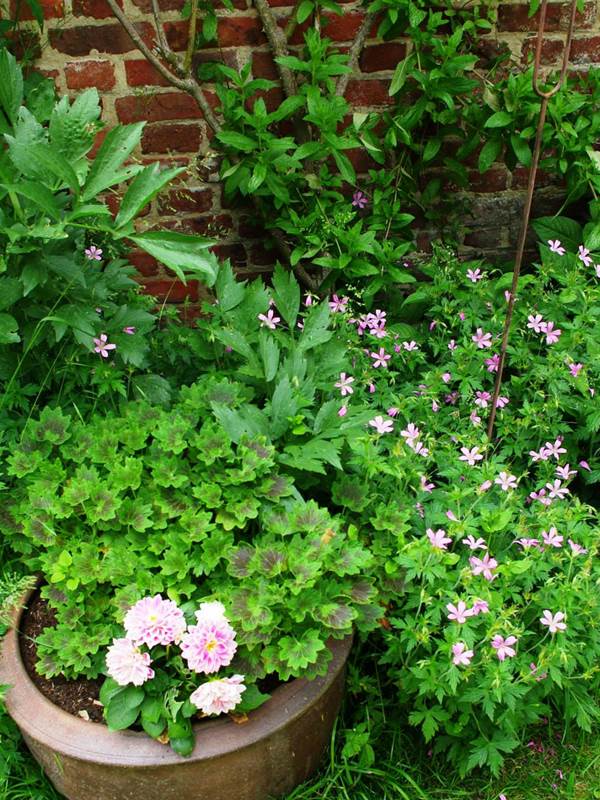 printemps au jardin-gallery