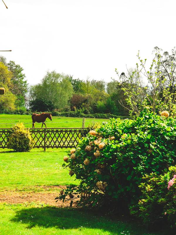 Côté Sud : Jardin clôturé avec vue sur les chevaux-gallery-offer