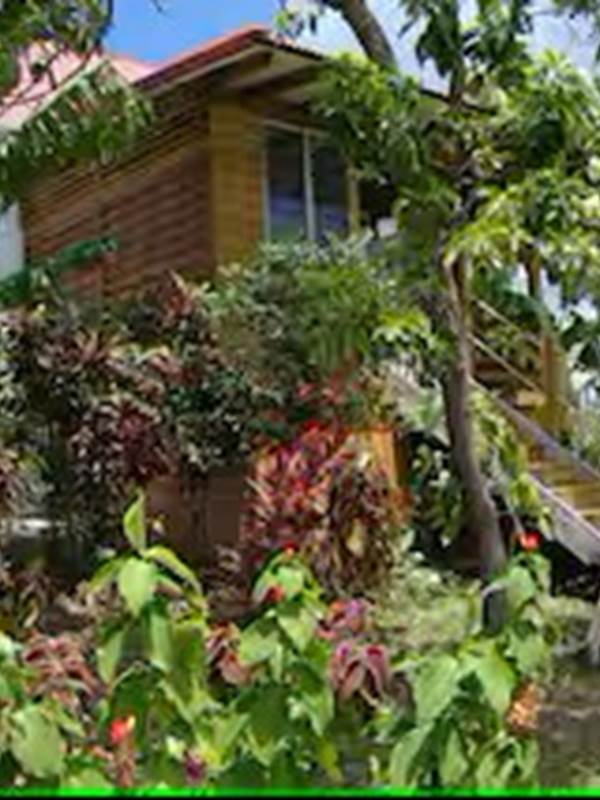 Les jardins des Balisiers Gite Alipinia Vue extérieur-gallery-offer