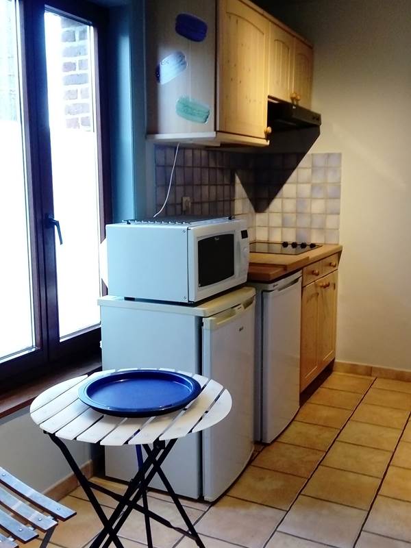 cuisine coté gauche: four multi fonction, taque vitro, congélateur et réfrigérateur-gallery-offer