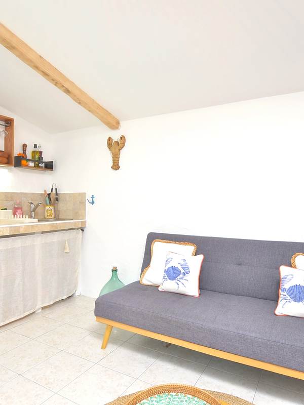 villa-les-salines-cabane-pêcheur-location-appartement-maison-vacances-grau-du-roi-jardin-proche-plage-grande-capacité-couchages-gallery-offer