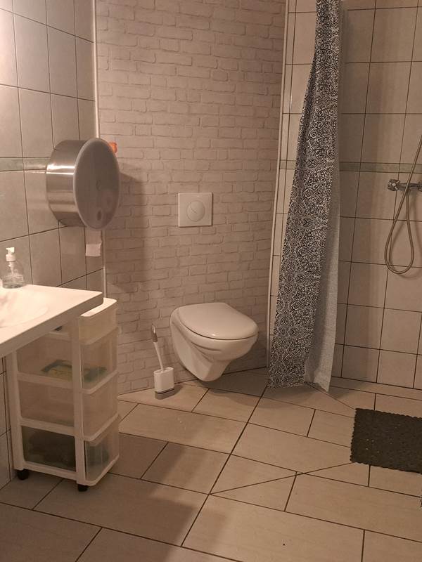 Salle de douche à l'italienne avec WC-gallery-offer