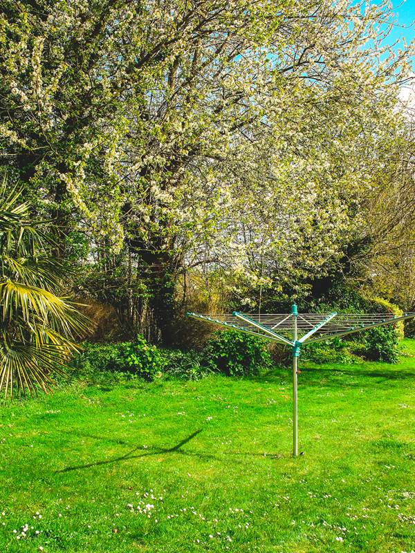 Côté Sud : Jardin clôturé-gallery-offer