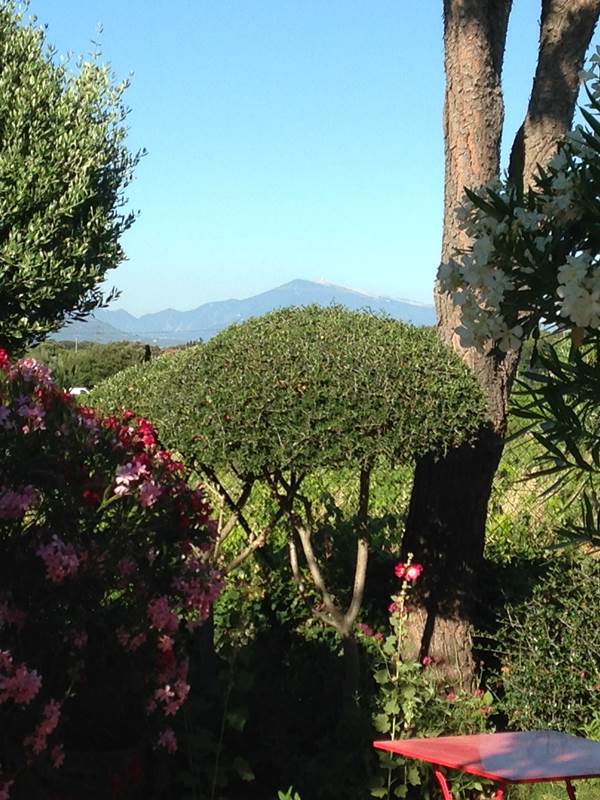Le Mont Ventoux-gallery-offer