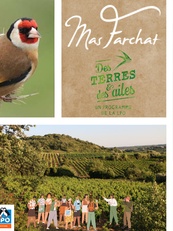 Biodiversité et pause gourmande au Mas Farchat-gallery-offer
