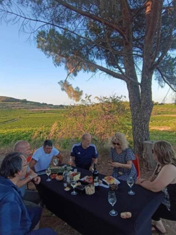 Dégustation de vin et tapas au Mas Farchat-gallery-offer