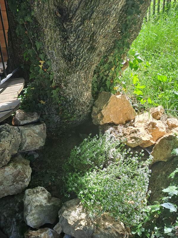 Des plantes aromatiques plantées juste pour vos petite popottes ! :)-gallery-offer