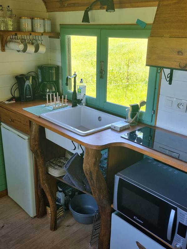 La kitchenette composée d'un réfrigérateur et son freezer, un four micro-onde et des plaques électriques.-gallery-offer