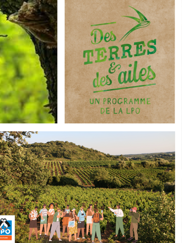 Biodiversité et pause gourmande au Mas Farchat-gallery-offer