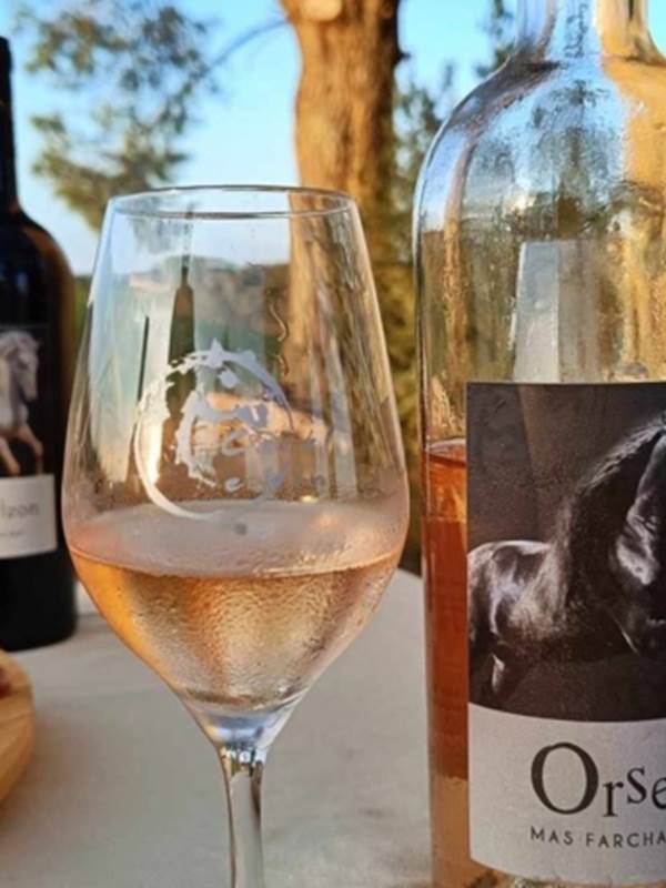 Dégustation de vin et tapas au Mas Farchat-gallery-offer