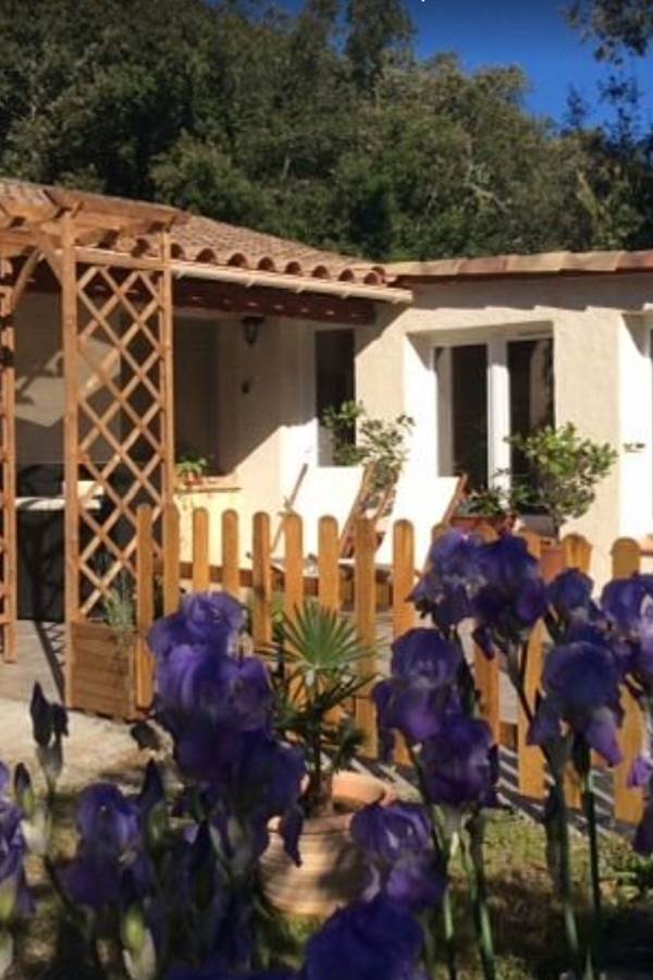 Bignone exterieur printemps