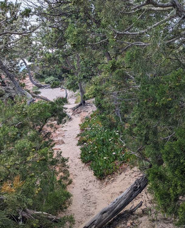 chemin-sable-nature-preservee