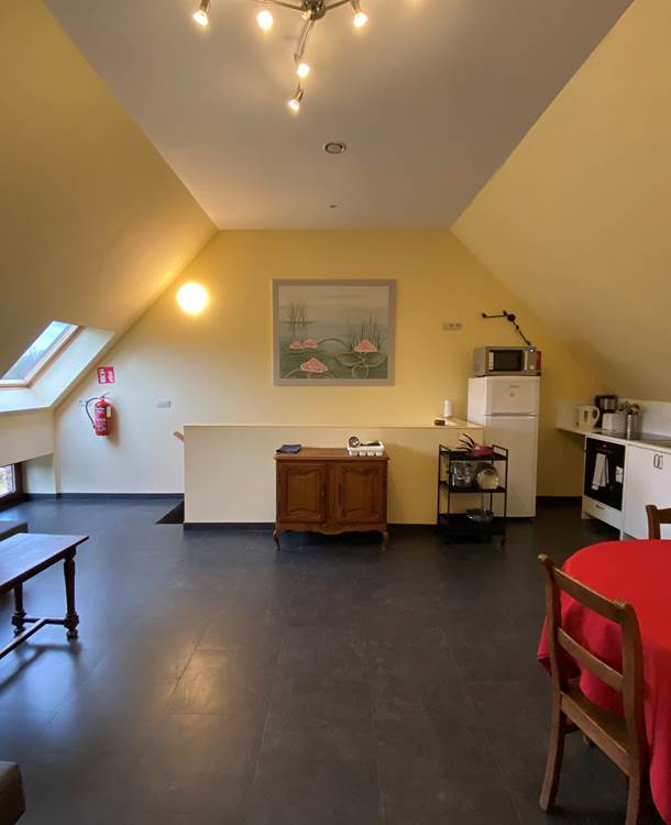 Living gîte 5 pers_4