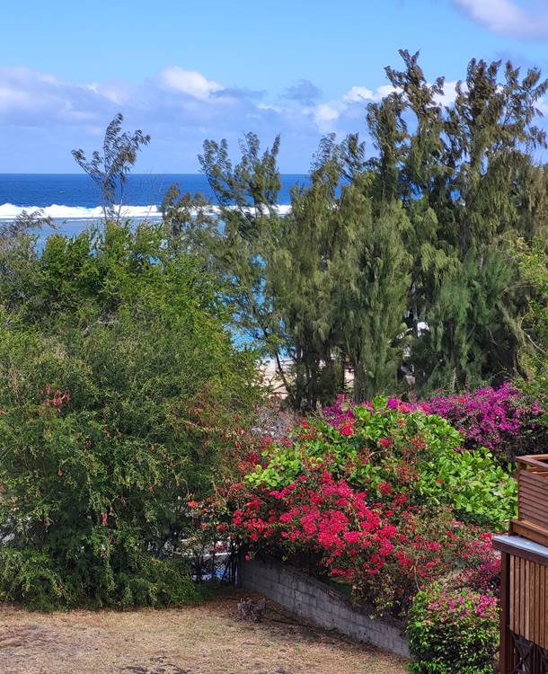 Vue de la terrasse sur la plage et sur le jardin