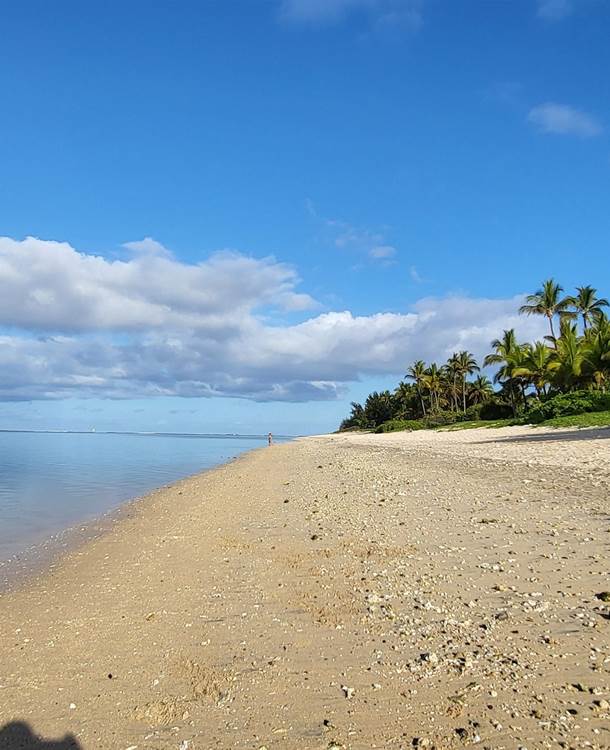 Locations de vacances plage de la Saline les bains