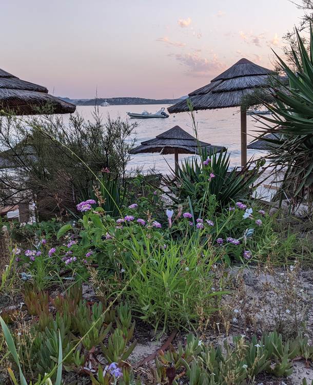 terrasse-casadelmarplage-benedettu-coucher-soleil