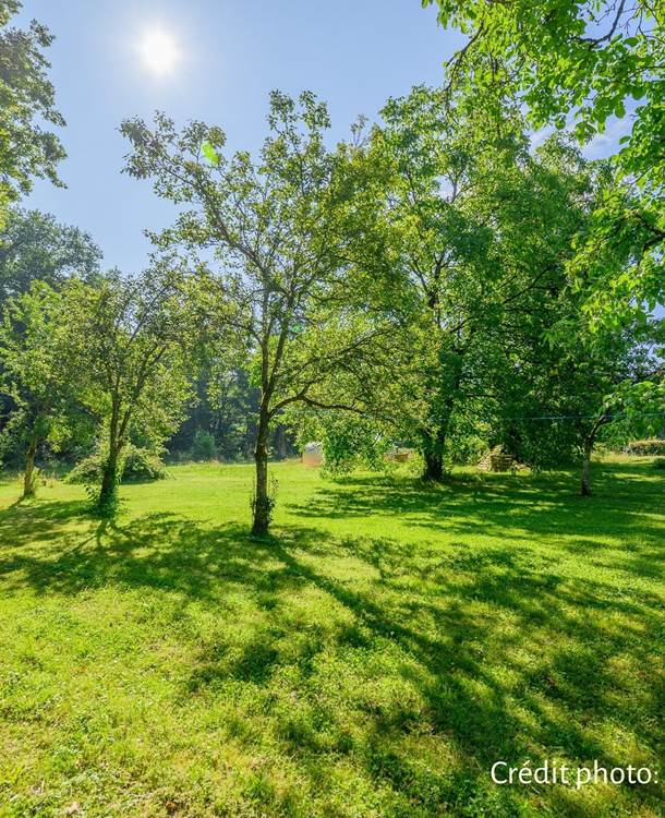 vue extérieure : activités pour enfants : crédit photos Thibaut Schenkel