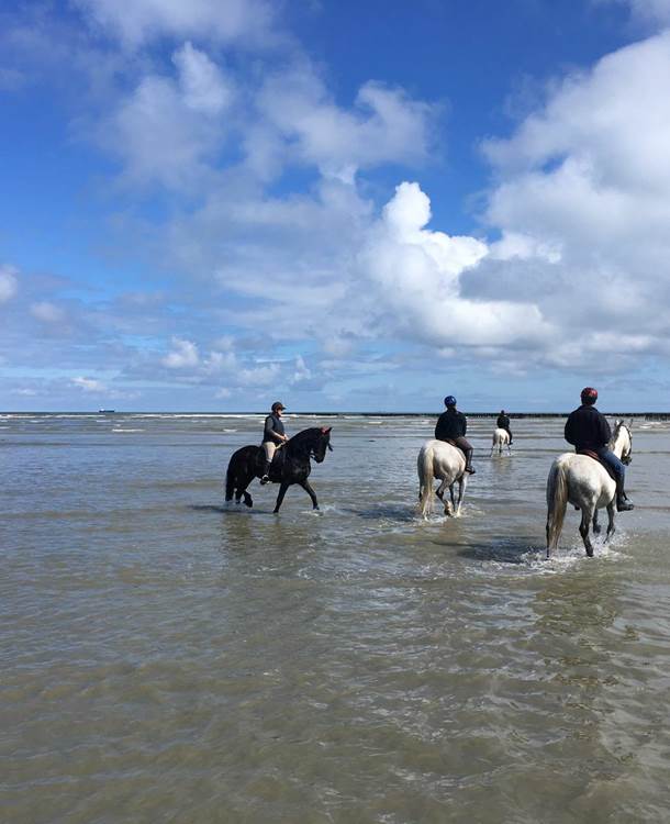 Traversée de la Baie de St-Brieuc : au loin, les bouchots