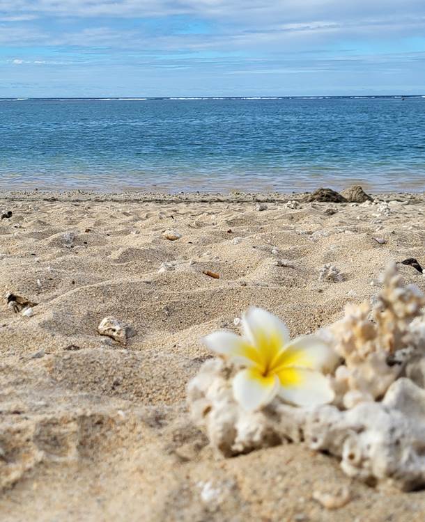 Locations de vacances à la Réunion