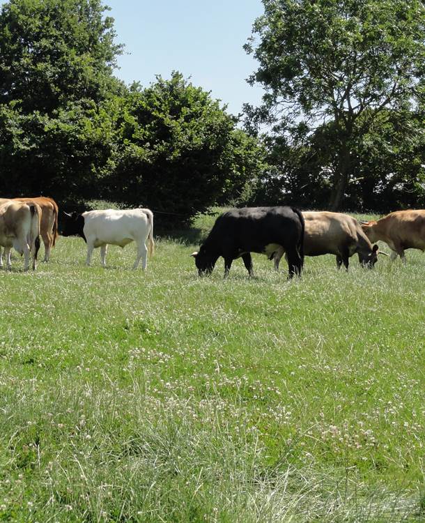Ferme certifiée Agriculture Biologique