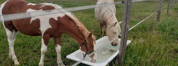 Domaine du Gué du Roi Héberger son Cheval au Pré
