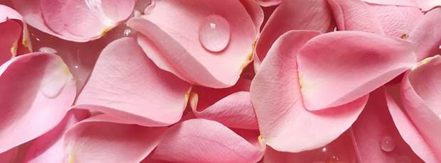 PETALES DE ROSES