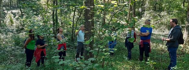 Visite guidée de notre forêt
