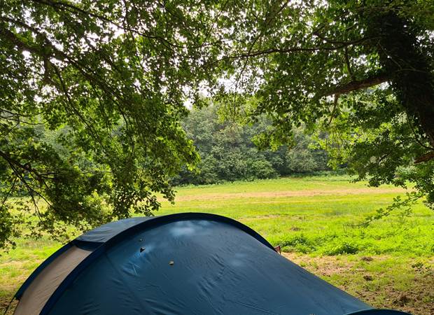 semi sauvage kijkje vanaf tent veld op 1