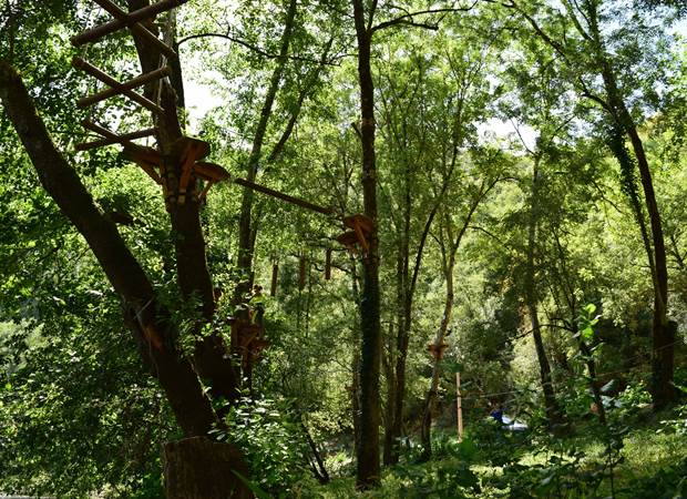 Le parc