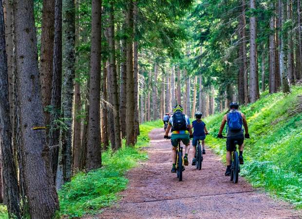 vtt-soreze-pixabay