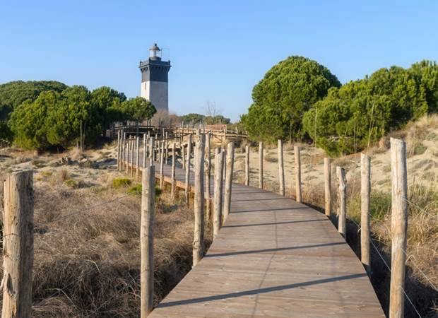 Phare-de-lespiguette-location-velo-electrique