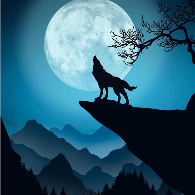 Loup garou libre de droit