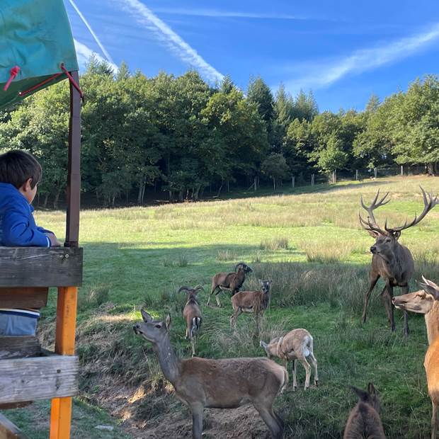 visite-guidee-parc-animalier-animaux-aveyron-occitanie-gages