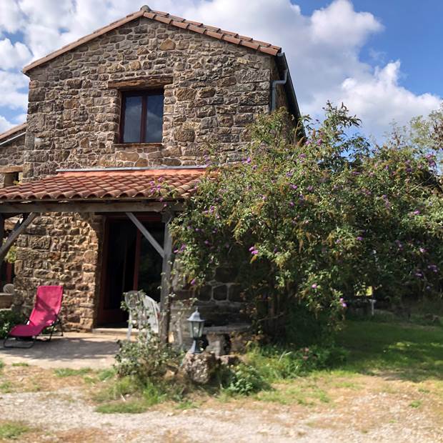 Gîte Daim