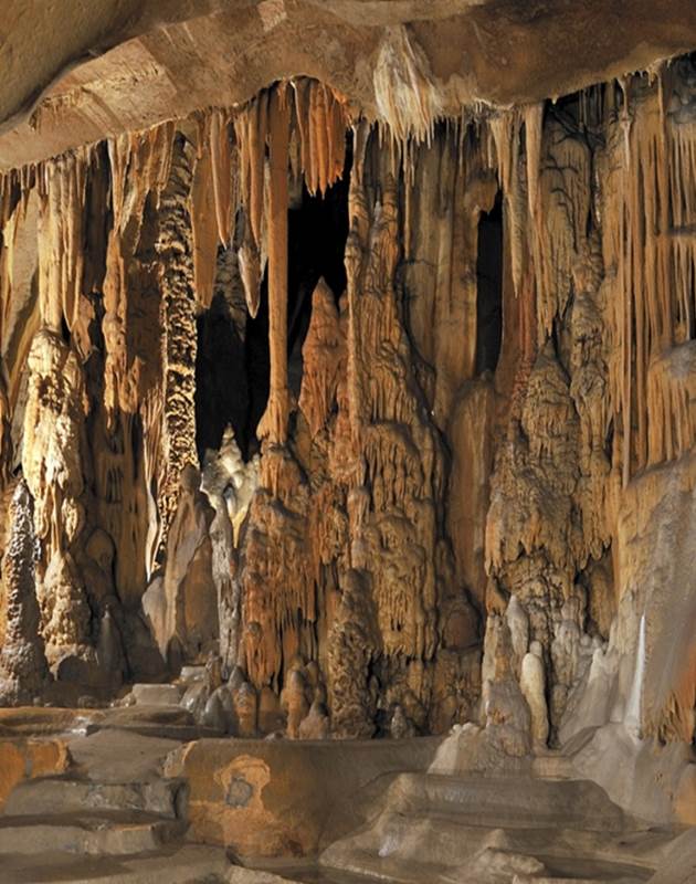 Sans-titre-96-img-around