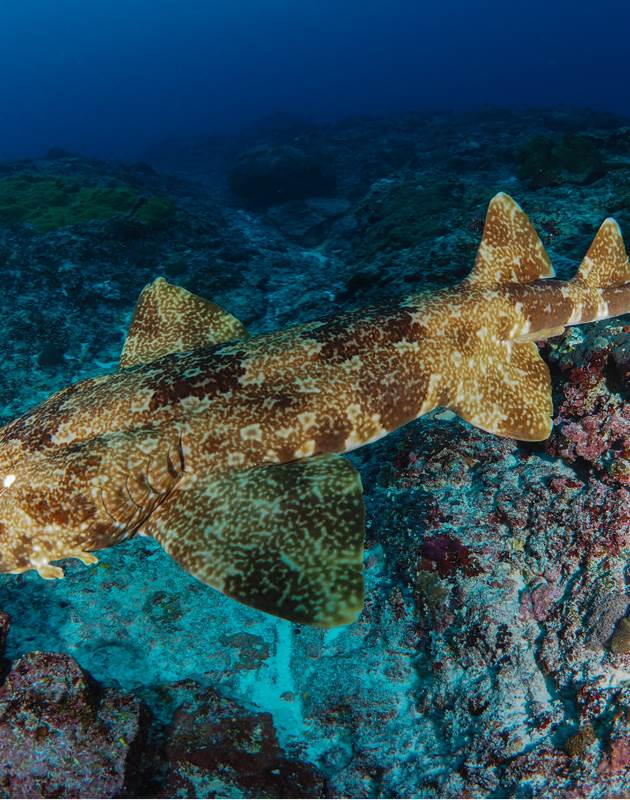 shutterstock697102075--Copie-img-around