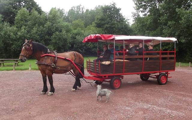 calèche a l'escale de l'adriennerie