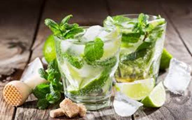 stage initiation mojito table hôtes la forestière quercy