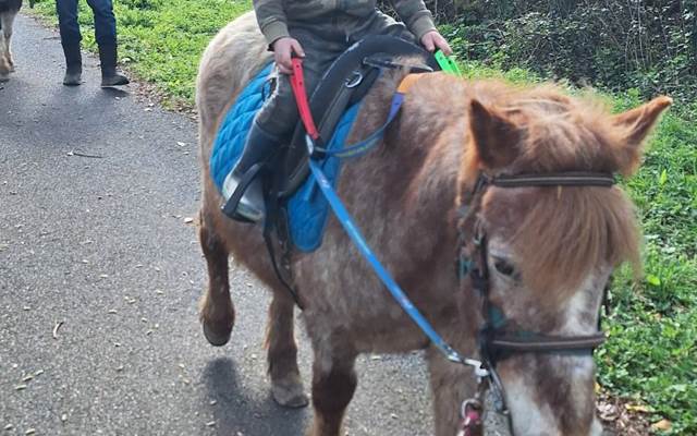 Promenade sur la voie verte