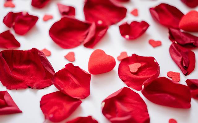 petale-de-rose-gite-jacuzzi-couple-chinon-touraine