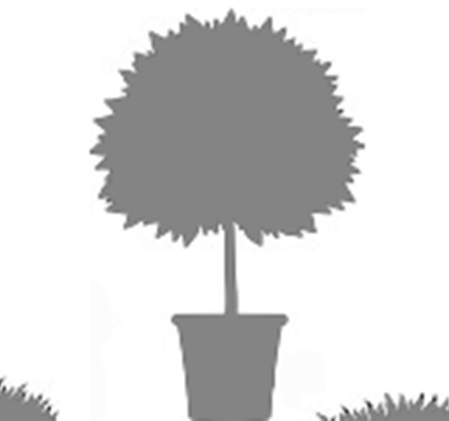 00_IM-DEFAUT-JARDIN