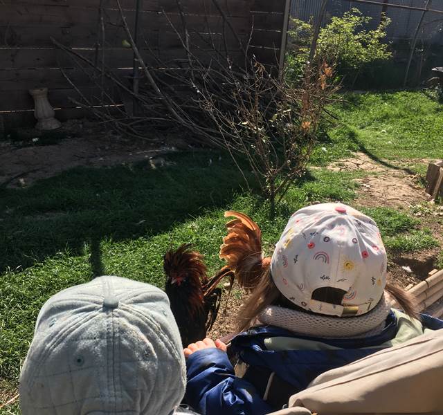 ferme de rousson mhillaire55759939_2019177311720698_4801724336861872128_n